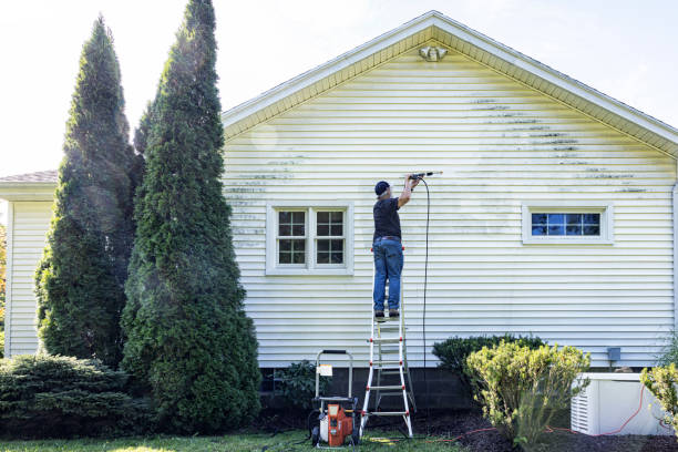 Best Fence Cleaning  in Caledonia, WI